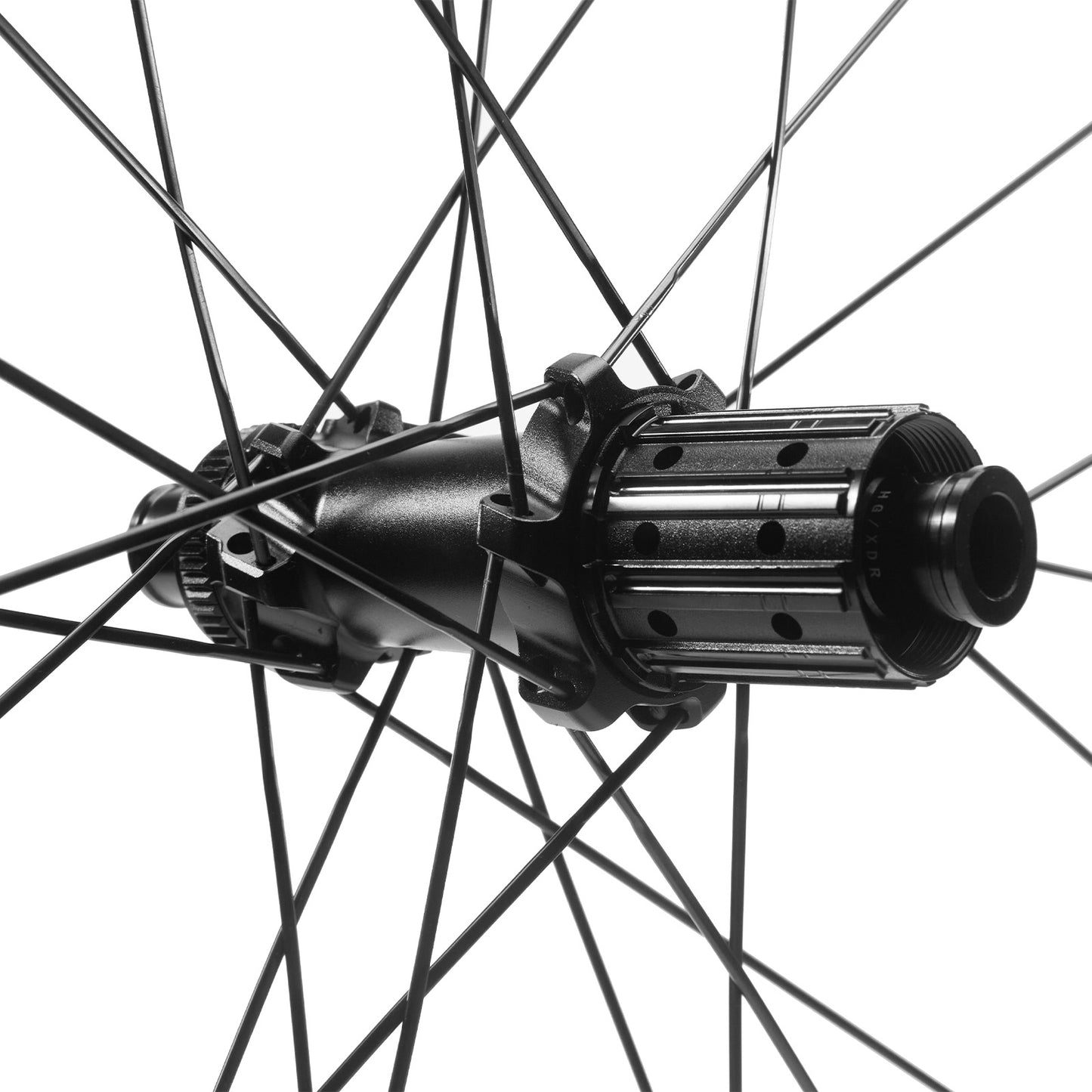 Avian CR2 DB