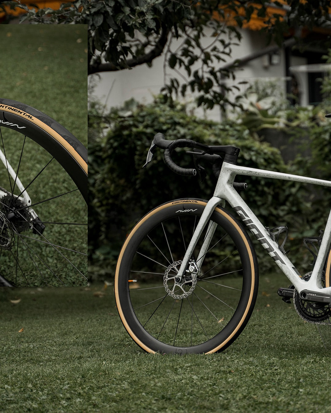 CR5 + TCR