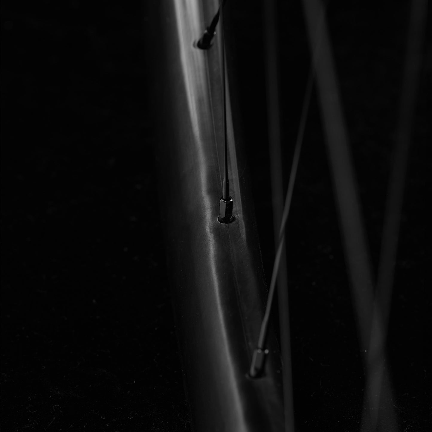 Avian CR4 DB